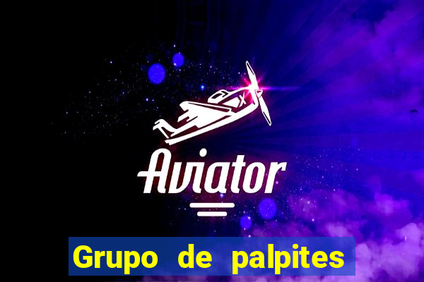 Grupo de palpites de futebol gratis